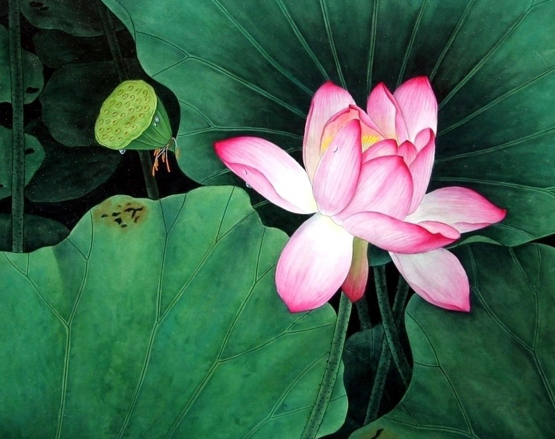 图16说明
