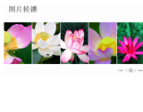  jQuery滚动图片插件