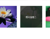 鼠标经过图片以小动画的形式显示 
