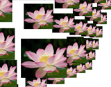 HTML 3D 立体图片相册特效 